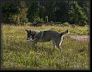 19 Hoest-Herbst-Autumn 07 * 2362 x 1845 * (3.66MB)